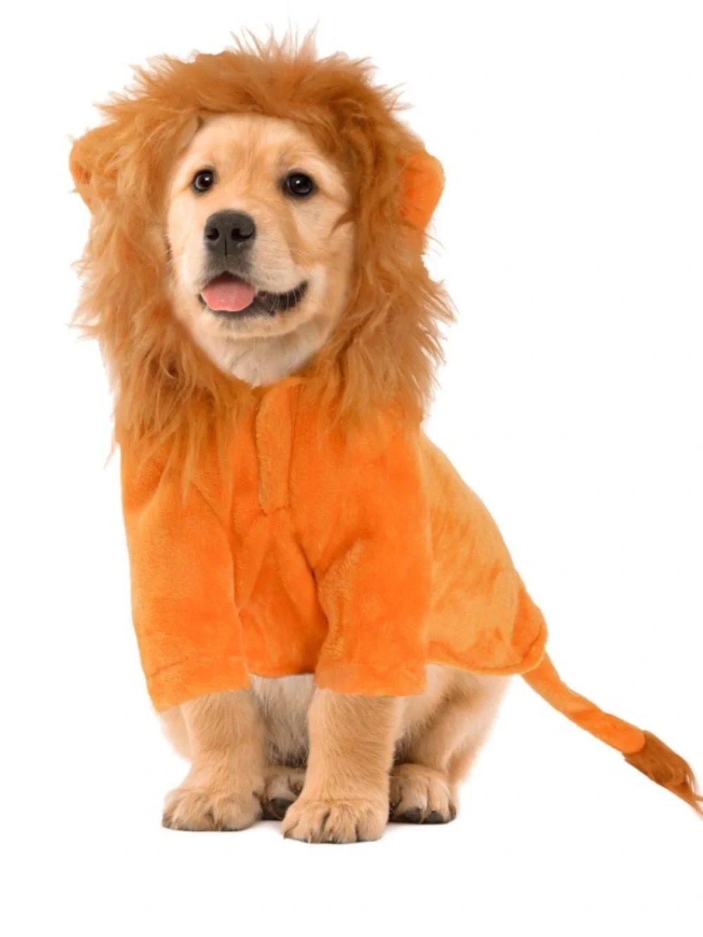 NWOT Plush Lion Simba Mufasa Dog Halloween Costume